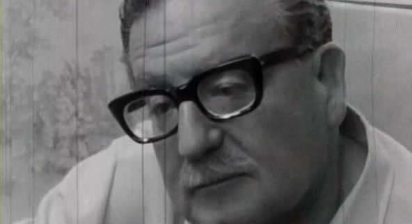 Lo que los lentes de Allende nos permiten ver