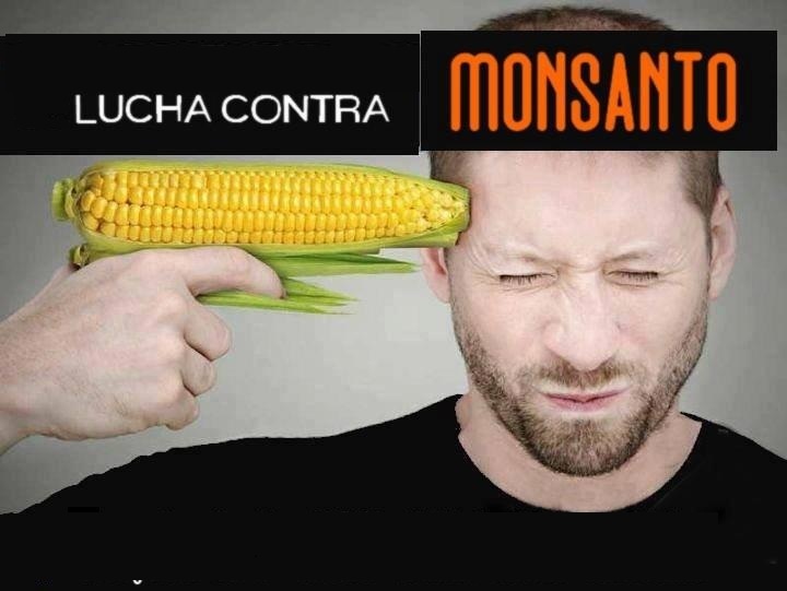 ¡Monsanto y ANPROS entregan información falsa sobre la ley de Obtentores!
