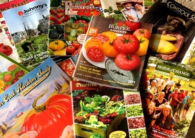 Monsanto se apropia de las semillas para jardinería y comestibles. Lista completa de sus marcas