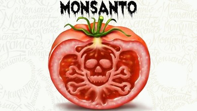 Martes 7: Senado se prepara para votar “Ley Monsanto” en medio de movilizaciones