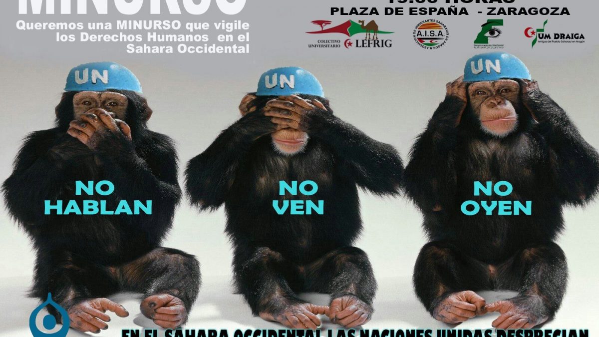 La cobardía y la inutilidad de la ONU en la cuestión saharaui