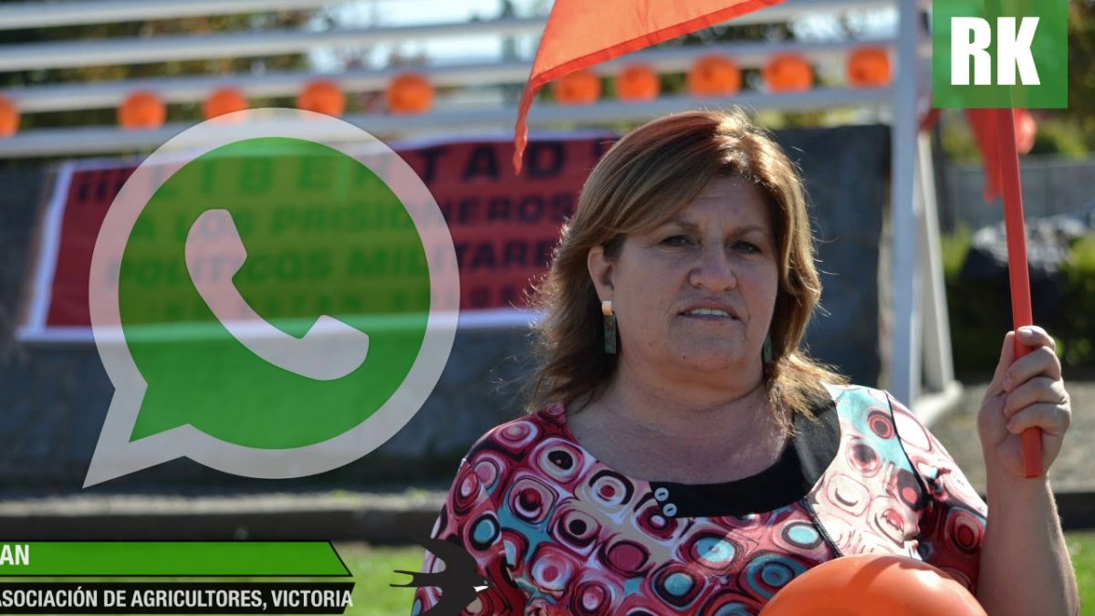 Filtran audio de Whatsapp donde dirigenta de agricultores de Victoria atacó duramente al Gobierno por violencia tras muerte de Catrillanca