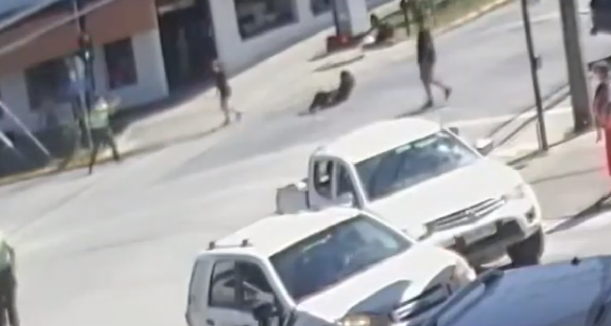 Nuevo video muestra como Carabinero remata a Pancho estando herido, en el suelo