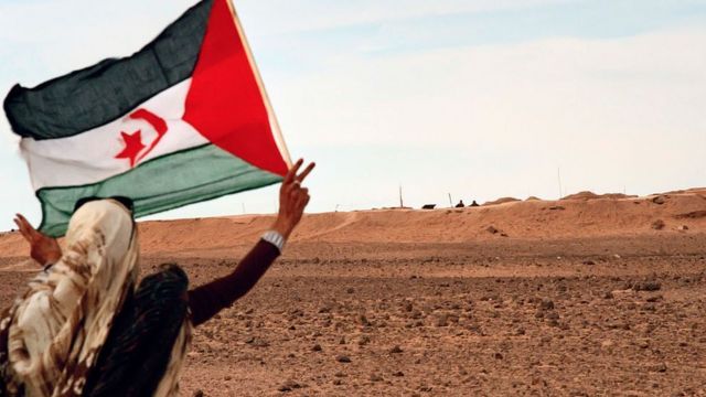 Trumpistas supremacistas en el Sáhara Occidental ocupado por Marruecos