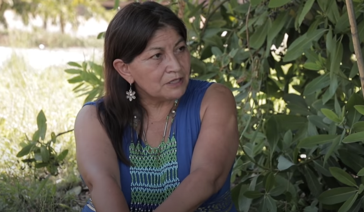 Nütram: conversaciones con Elisa Loncon acerca de la historia mapuche