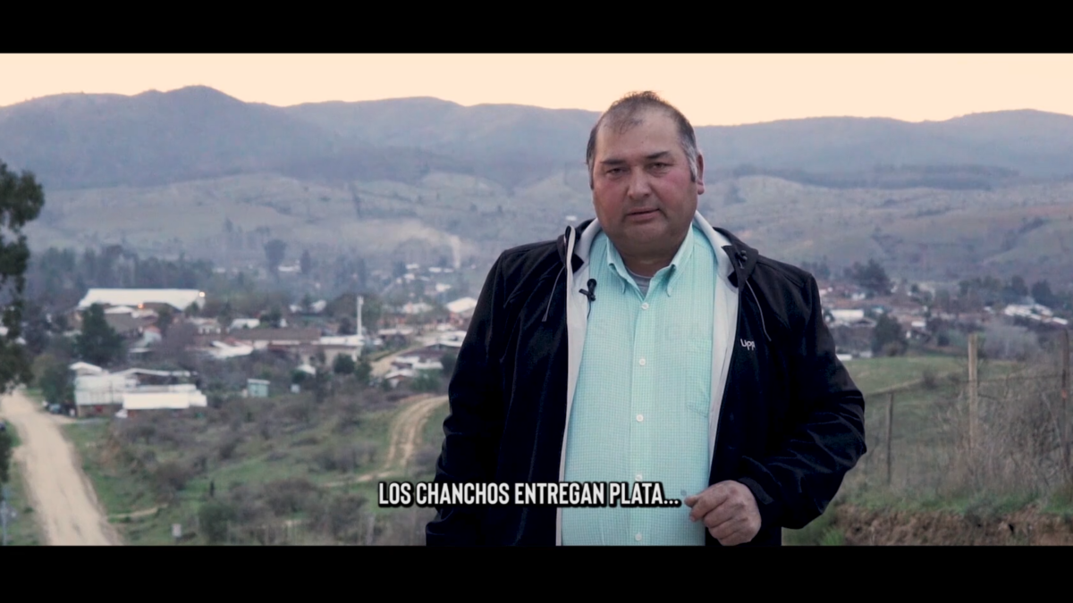 «Mal Vecino»: «Los chanchos entregan plata, nosotros entregamos votos»
