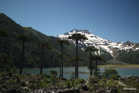 Organizaciones medioambientales del Wallmapu rechazan proyecto geotérmico en volcán Tolhuaca