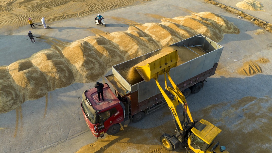 Putin declara garantizar exportación de grano ucraniano y los precios caen al nivel de abril