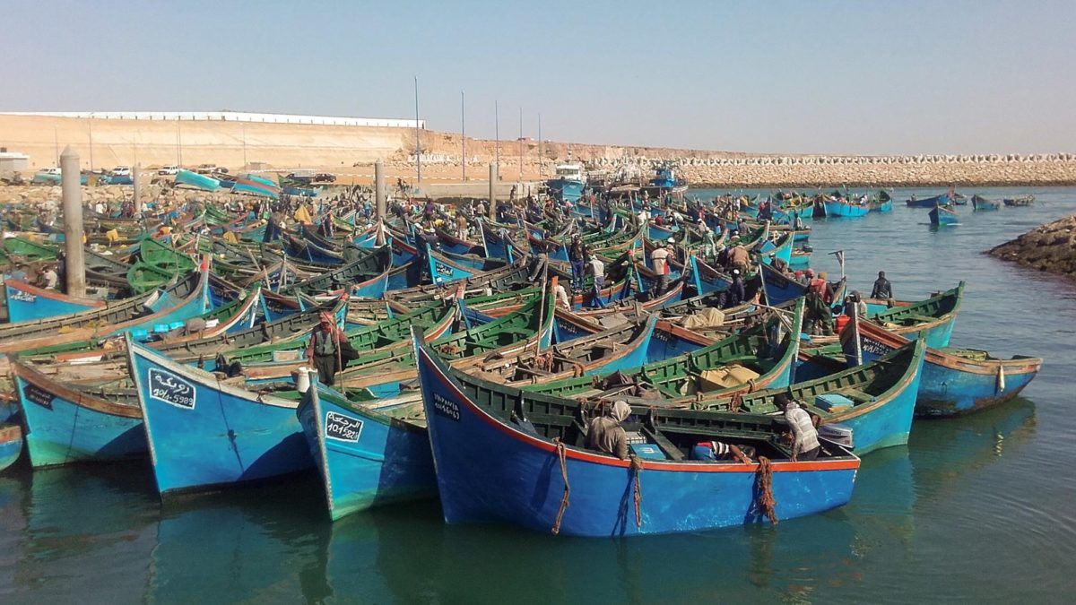 La marroquinización de los recursos saharauis