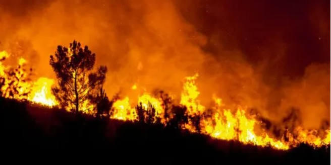 Argentina: “Donde hubo fuego negocios quedan”