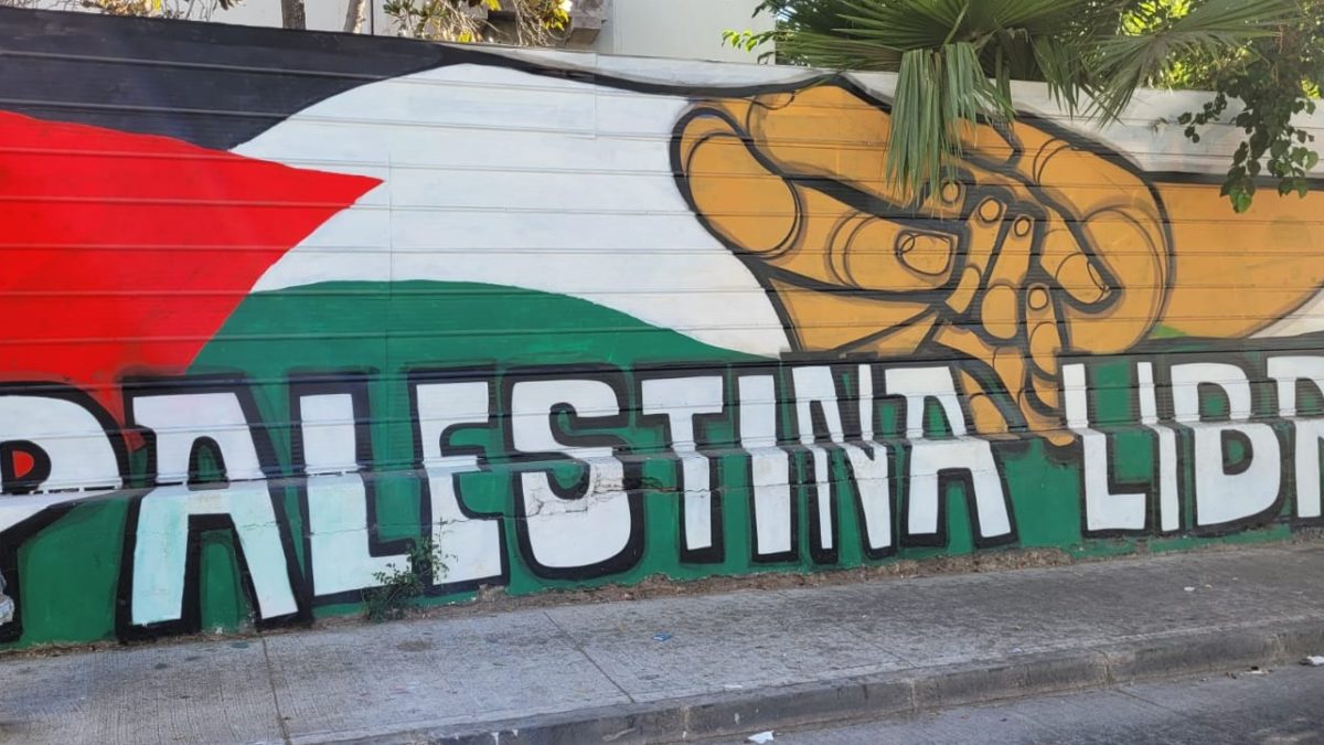 Calles de Santiago: ¡Palestina resiste y será libre!