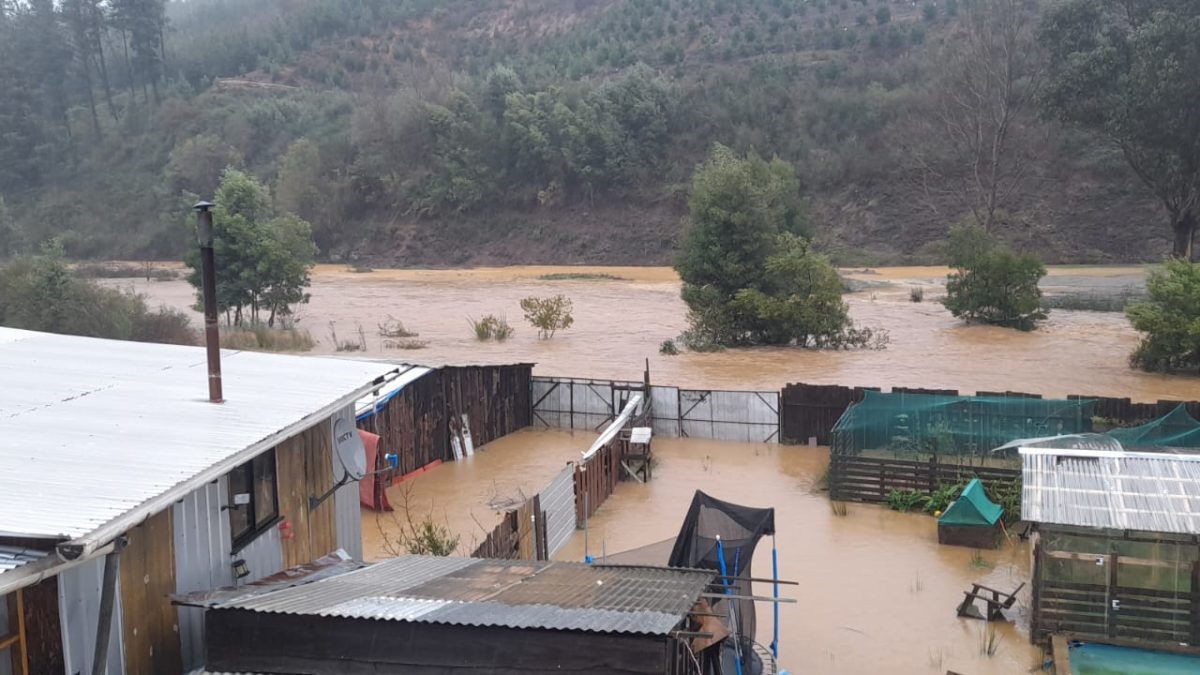 Chile. Curanilahue: «Por el temporal, las viviendas que levantamos en la toma ya están cubiertas por más de un metro de agua»