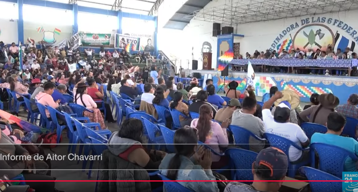 Bolivia: Encuestas muestran que votos nulos, blancos e indecisos suman 32%. Sin Evo en la papeleta no puede haber elecciones